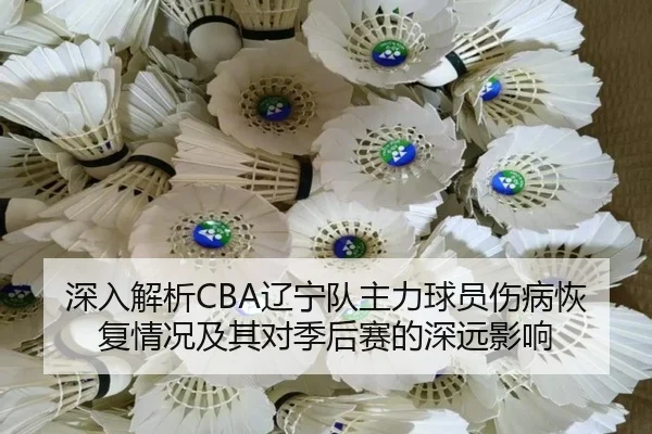 深入解析CBA辽宁队主力球员伤病恢复情况及其对季后赛的深远影响（Crown）